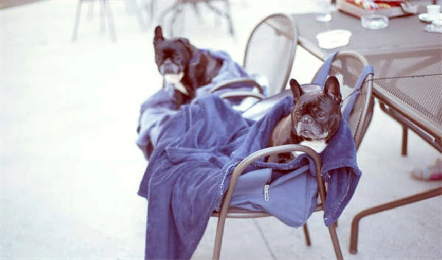 2026 Mercedes-Benz CLA: First Look at the Game-Changing Luxury EV